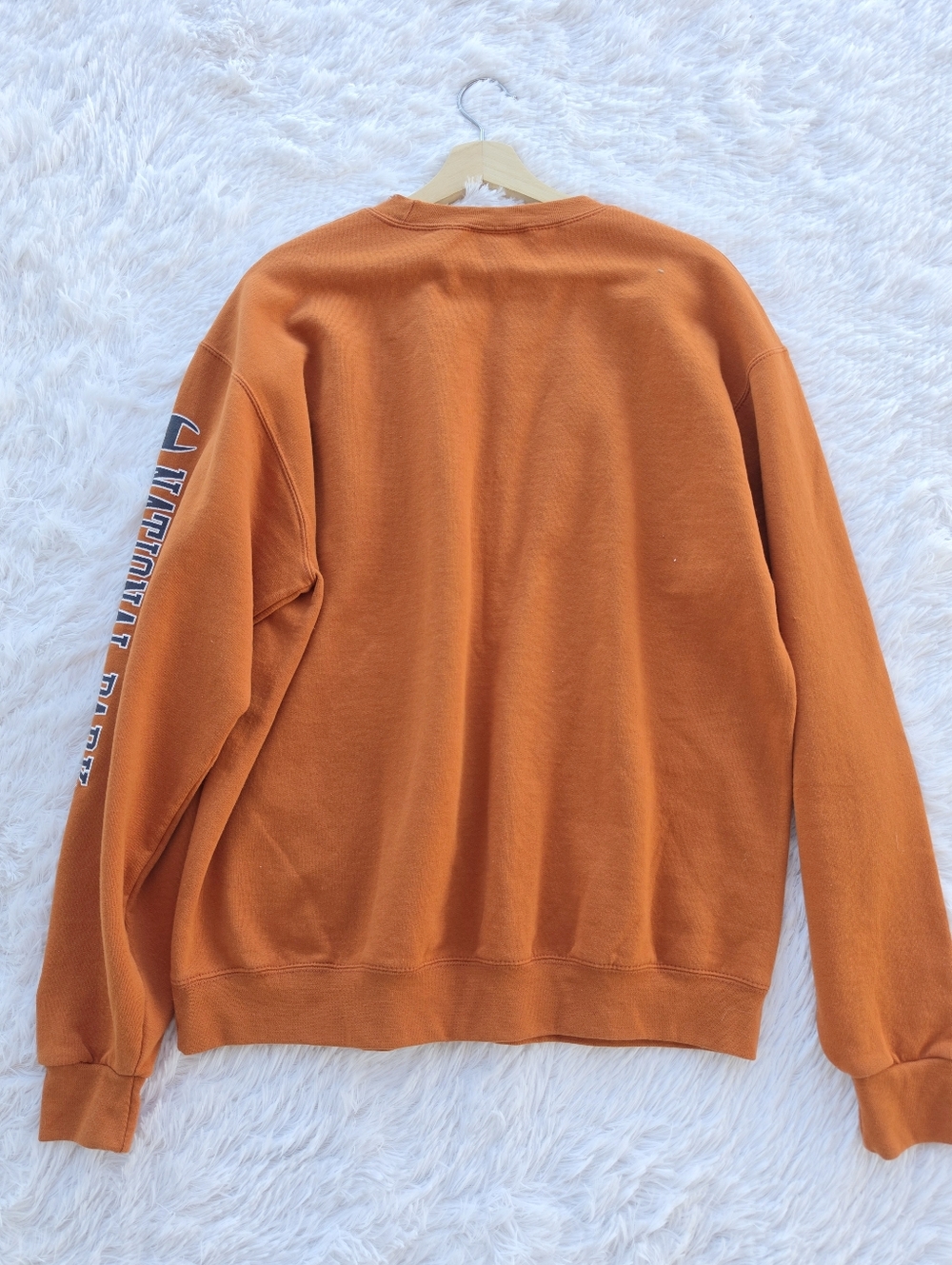 Champiom Grand Canyon National Parks Crewneck Sweatshirt - Picture 5 of 5